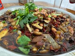 -食神又名厕所兔