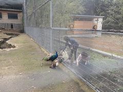 -大连天门山国家森林公园