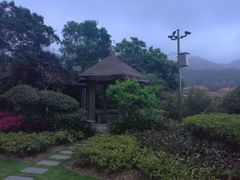 -厦门国家会计学院