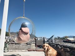 -浔岚云舍mist静谧观景美宿(丽江古城店)