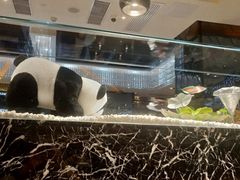 -红辣椒·川菜·火锅(大洋中心店)