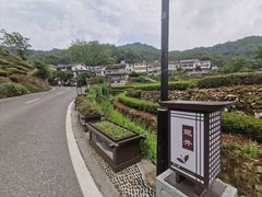 -龙井村