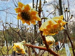 -荆州中山公园动物园