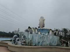 -芜湖新华联大白鲸海洋公园