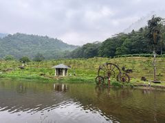-广州市石门国家森林公园
