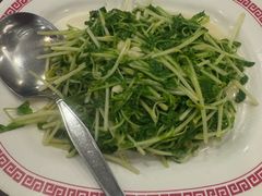 -中国城银都鱼翅酒楼