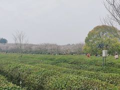 -凤凰沟景区