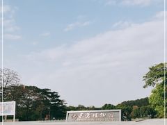 -东莞植物园