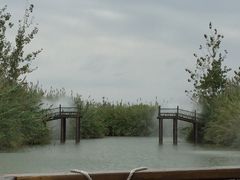 -泗洪洪泽湖湿地景区