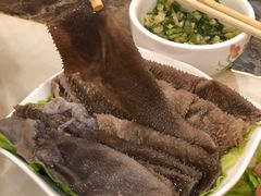 -朱氏胖子烂火锅(洪崖洞店)