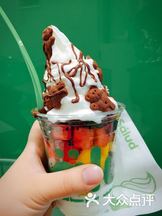 salud 撒露欧洲冻酸奶(金花赛高店)图片 - 第351张