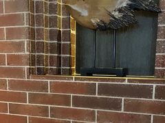 -永安鱼庄·镇江菜(东吴路店)