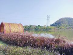 -顺峰山公园