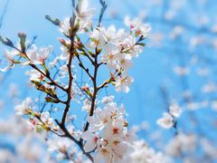 -西北湖绿化广场