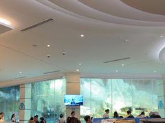 -帝企鹅自助餐厅•儿童岛•真企鹅(长隆企鹅酒店)