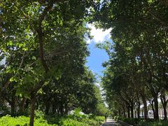 -Adidas(东荟城店)