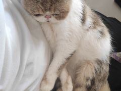 -平行世界·猫咖(首经贸店)