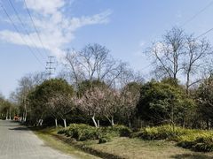 -上海海湾国家森林公园