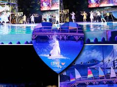 -海合安武汉极地海洋公园