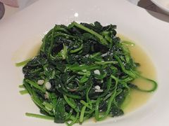 -青叶202都市餐厅(迪诺水镇店)