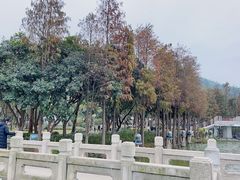-顺峰山公园