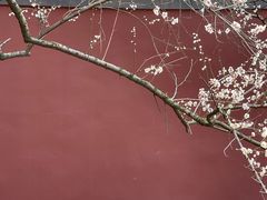 -COSTA COFFEE(西湖天地店)