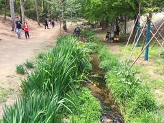 -白水寺森林公园