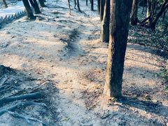 -火炉山森林公园