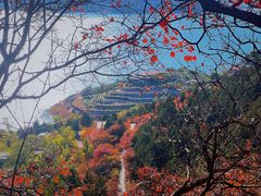 -北京金海湖景区