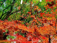 -共青国家森林公园-售票处