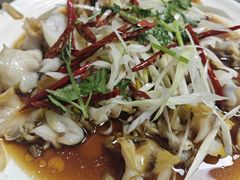 葱油螺片-林之六八·6886大连老菜馆