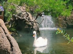 -罗红摄影艺术馆