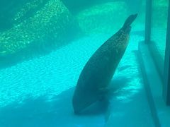 -海合安成都极地海洋公园