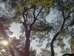 -张学良旧居陈列馆