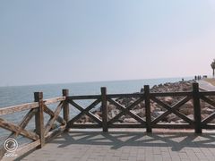 -野狸岛