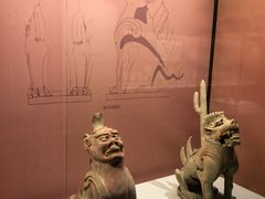 -安阳博物馆