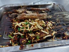 -宋文成烤肉(白沙巷店)