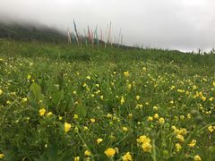 -硗碛藏寨·神木垒景区