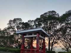 -金鸡山公园