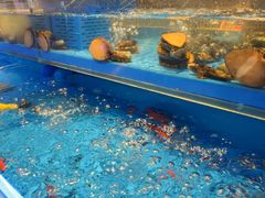 -海底捞火锅(长宁路龙之梦店)