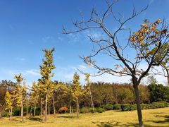 -上海海事大学(临港校区)