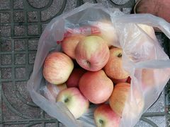 -回头客精品果业(西门店)