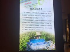 -英德宝晶宫天鹅湖茶语温泉