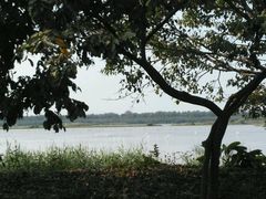 -大湾区中央湿地公园
