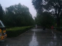 -青城公园