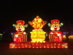 -南通鲜花小镇