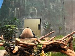 -香港海洋公园