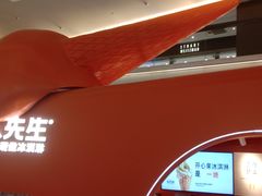 -野人先生现做冰淇淋(北京王府井东方新天地店)