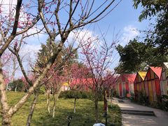 -三圣花乡旅游区