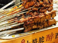 -福苗小骆驼烧烤(莲湖路店)